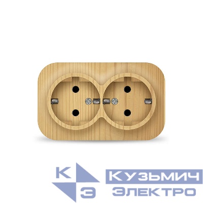 Розетка 2-м ОП 16А IP20 с заземл. сосна IONICH 1439