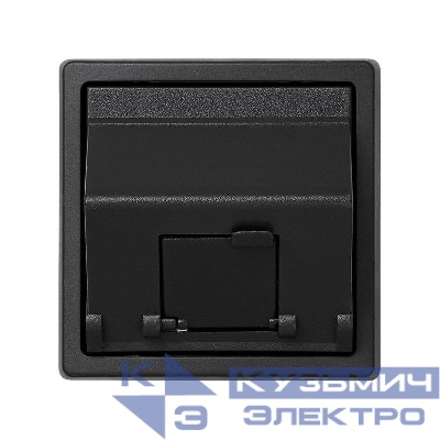 Адаптер на 1 RJ45(12) коннектор 75528; 75540; 75541; 75544-39 наклонный Simon73 Loft графит 73085-62