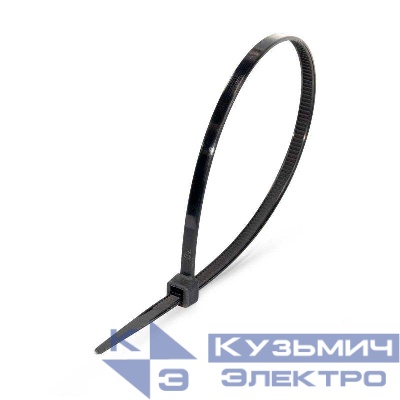 Хомут нейлоновый НСС EasyFix 4х100 черн. (уп.100шт) Fortisflex 89923