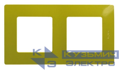 Рамка 2-м Etika зел. папоротник Leg 672542