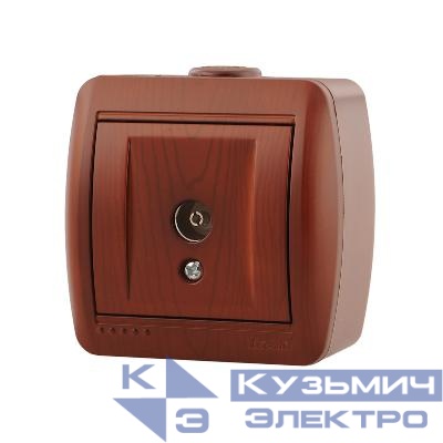 Розетка телевизионная оконечная TV ОП Nata вишня LEZARD 710-0600-130