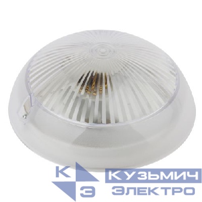 Светильник "Сириус" НБП 06-60-001 max 60Вт E27 IP54 D220 круг поликарбонат призма ЭРА Б0048029