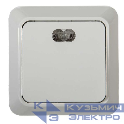 Выключатель 1-кл. ОП Bolleto 10А IP20 7121 накладной с подсветкой бел. ASD / IN HOME 4680005959754