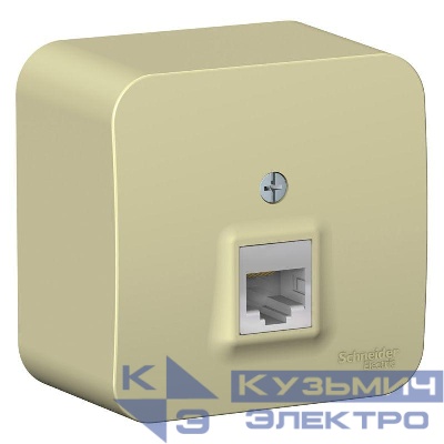 Розетка компьютерная 1-м ОП Blanca RJ45 кат.5E с изолир. пластиной беж. SE BLNIA045007