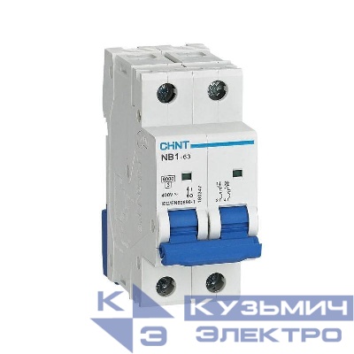Выключатель автоматический модульный 2п D 25А 6кА NB1-63 (R) CHINT 179675