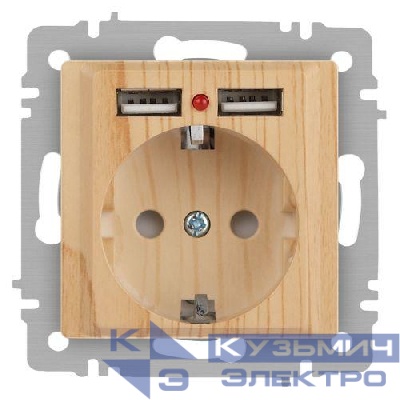 Розетка 1-м СП Accent 6-410-11 16А IP20 250В P+E Schuko + 2хUSB защ. шторки сосна Intro Б0063720