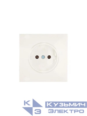 Розетка 1 мест. б/з ПБТ СП ZIMA IP20 16А безвинт. зажим слон. кость LEZARD 704-9088-121BQC