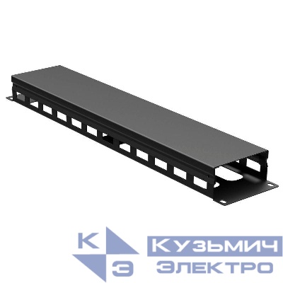 Органайзер кабельный 19дюйм с крышкой и отверстиями 2U глубина 40 мм RAL9005 DKC R5CPF1942HEB