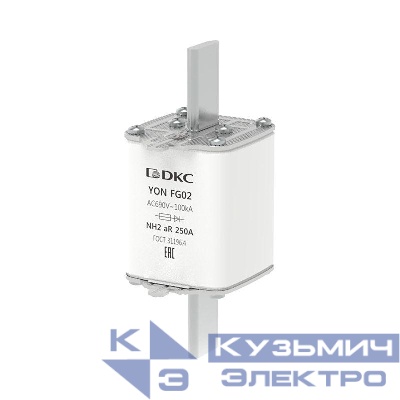 Предохранитель YON ножевого типа FG2 250А 690В хар-ка aR DKC 1FG02-0250-690V-AR