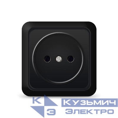 Розетка 1-м ОП Олимп 16А IP20 без заземл. черн. Universal 2224