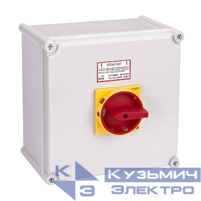 Выключатель-разъединитель главный аварийный 3п 125А IP65 закрытого исп. с замком SE MSD125311R