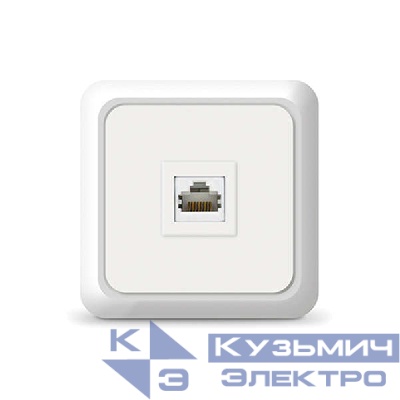 Розетка компьютерная 1-м Олимп бел. UNIVersal 1075