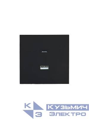 Розетка Type-C+ USB разъем СП ZIMA IP20 черн. бархат LEZARD 704-4288-192TC