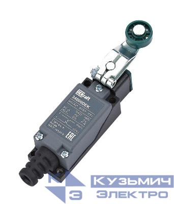 Выключатель концевой 1НО1НЗ ролик. рычаг из термопласта метал. DEKraft 34000DEK