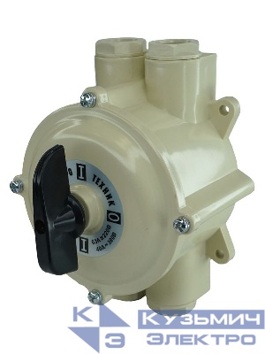 Выключатель пакетный ПВ 2-63 М1 пл. 56 (63А пластмассовый корпус IP56) Электротехник ET008517