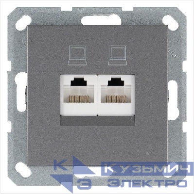 Розетка компьютерная 2-м RJ45 IP20 кат. 5E механизм алюм. Jasmart G6106S