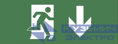 Этикетка самоклеящаяся 350х130мм "Фигура/стрелка вниз" SSA-101 INFO-SSA-103 ЭРА Б0048472