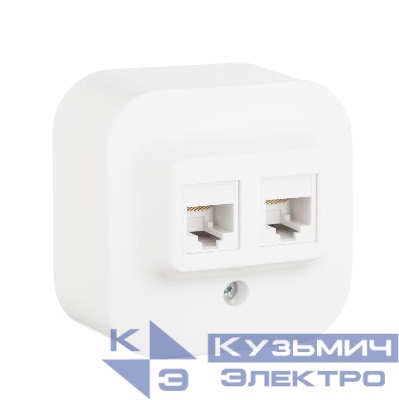 Розетка компьютерная 2-м ОП Quteo RJ45 кат.5E UTP бел. Leg 782228