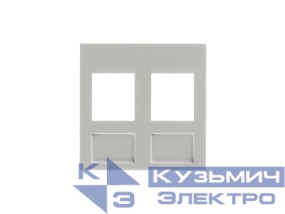 Вставка в рамку 45х45мм (французский тип), 2 порта