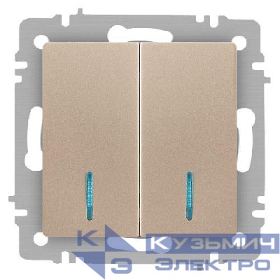 Выключатель 2-кл. СП Accent 6-105-04 10А IP20 250В с подсветкой AL/CU шампань Intro Б0063513