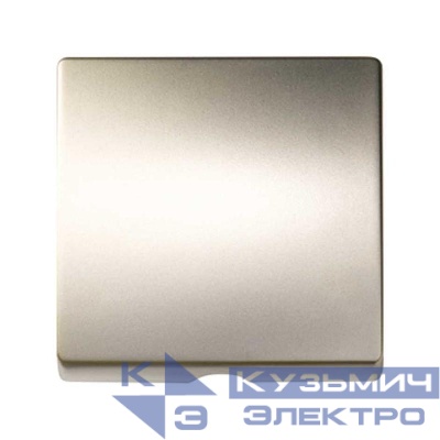 Накладка на 75153-; 75203-; 75801-39 Simon82/82Nature шампань 82051-34