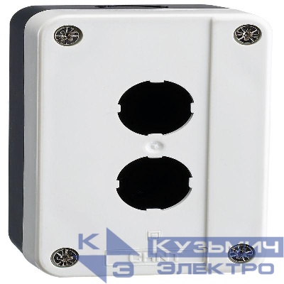 Корпус для кнопок NP2 2 места NP2-B02 (R) CHINT 575576
