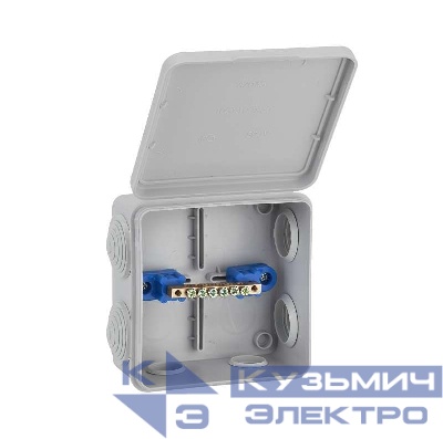 Коробка распределительная ОП 100х100х50мм IP54 для уравн. потенциалов Ruvinil 67045УП