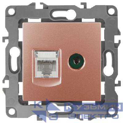 Розетка компьютерная + телевизионная Эра12 12-3110-14 RJ45 + TV IP20 медь Эра Б0027449