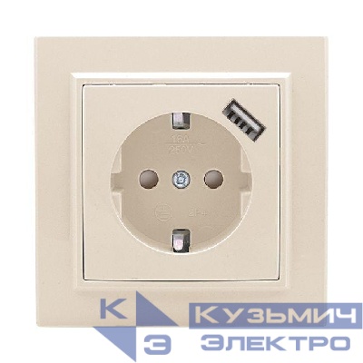 Розетка 1-м СП Минск 16А IP20 с заземл. защ. шторки с заряд. устройством USB 1А беж. EKF ERR16-028-200-USB