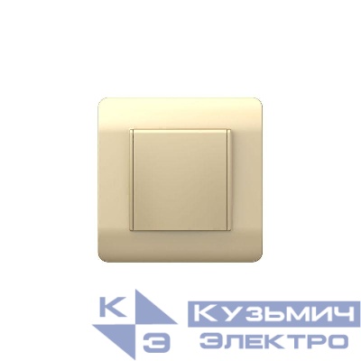 Розетка NEW3-E 16А IP44 с заземл. защ. шторки с крышкой шампань CHINT 431448