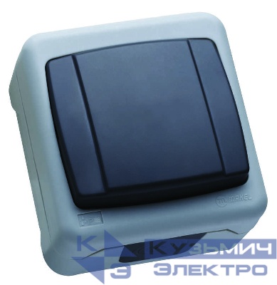 Выключатель 1-кл. ОП 10А IP55 сер. Makel 36064101