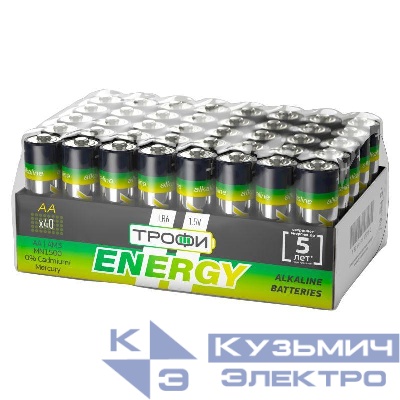 Элемент питания алкалиновый AA/LR6 LR6-40 bulk Eco (уп.40шт) Трофи Б0027815