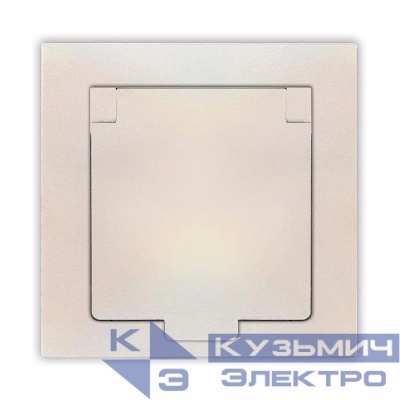 Розетка 1-м СП Афина 16А IP20 с заземл. с крышкой в сборе жемчуж. Universal A0029-OBr