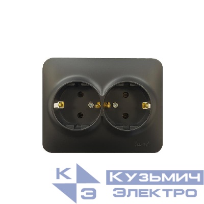 Розетка 2-м Karina Life с заземл. ПБТ черн. бархат LEZARD 708-4200-127B
