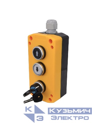 Пост управления ПКУ-22-3441-65У1 1 переключатель на два положения с фиксацией с ключом НО; 1 цилиндр "Стрелка вверх" НО бел.; 1 цилиндр "Стрелка вниз" НО черн.; IP65 Электротехник ET526983