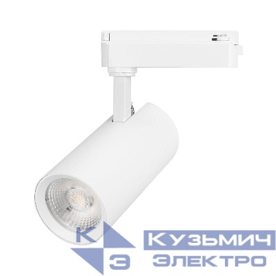 Светильник светодиодный LGD-GERA-2TR-R74-20W Day4000 WH 55deg 230В IP20 20Вт 4000К метал. Arlight 055054