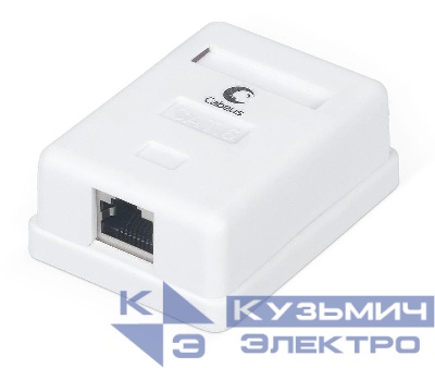 Розетка компьютерная 1-м ОП WS-8P8C-Cat.6-SH-1 RJ45 (8P8C) кат.6 экранир. Dual IDC Cabeus 7988c