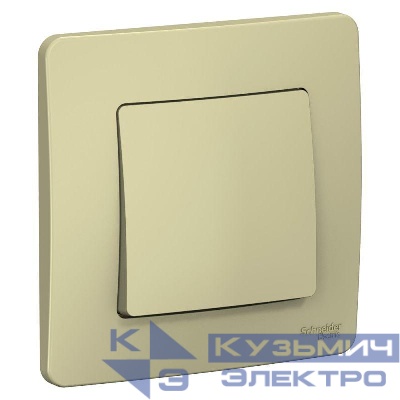 Выключатель 1-кл. СП Blanca 10А IP20 (сх. 1) 250В беж. SE BLNVS010107