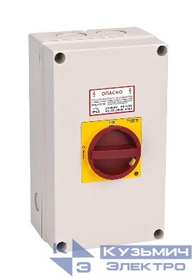 Выключатель-разъединитель главный аварийный 4п 80А IP65 закрытого исп. с замком SE MSD80411R