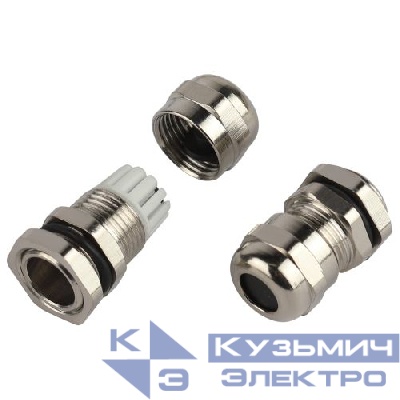 Ввод кабельный (сальник) PGM 7 d3-6.5мм (d отверст. 12.5мм) IP68 латунный (уп.5шт) Эра Б0065205