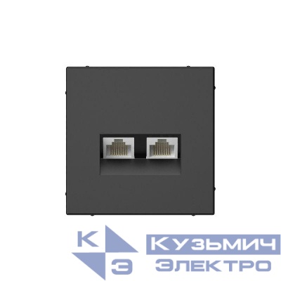 Розетка компьютерная 2-м ArtGallery RJ45 + RJ45 кат.5E механизм базальт SE GAL001485