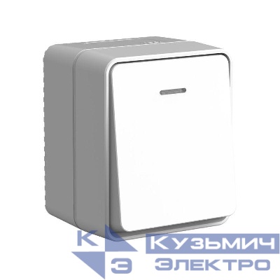 Выключатель 1-кл. ОП AtlasDesign PROFI IP54 10АX с подсветкой сер. SE ATN543013