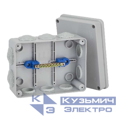 Коробка распаячная ОП 150х110х70мм IP55 уравн. потенциалов Ruvinil 67053УП