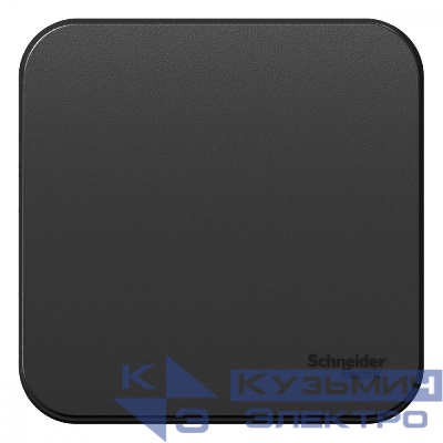Выключатель 1-кл. ОП Blanca 10А IP20 (сх. 1) 250В антрацит SE BLNVA101006