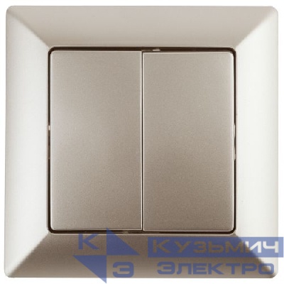 Выключатель 2-кл. СП Solo 4-104-04 10А 250В IP20 шампань Intro Б0053588