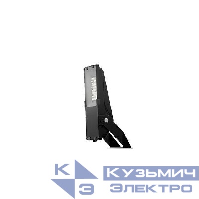 Светильник ДО08-50-301 FLG 750 LED 50Вт 5000К IP66 Ардатов 1202505301