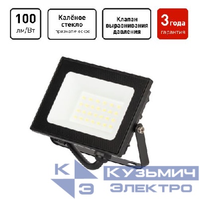 Прожектор светодиодный PRO LPR-062-0-65K-020 20Вт 6500К 2000лм IP65 призма Эра Б0064648