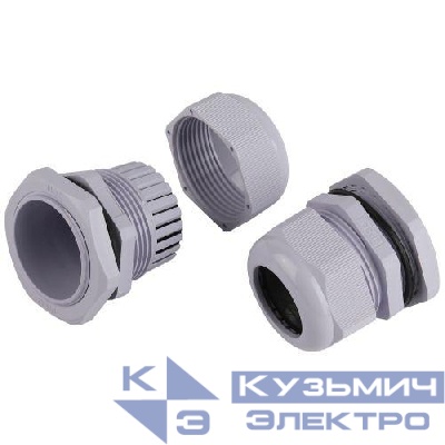 Ввод кабельный (сальник) PG 36 d22-32мм (d отверст. 46мм) IP54 (уп.10шт) Эра Б0065151