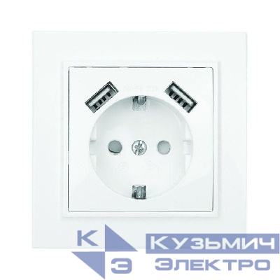 Розетка 1-м СП Минск 16А IP20 с заземл. защ. шторки с 2-мя заряд. устройствами USB 2.1А бел. EKF ERR16-028-100-2USB