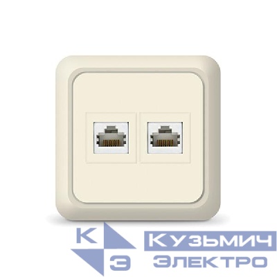 Розетка компьютерная 2-м Олимп сл. кость UNIVersal 1074